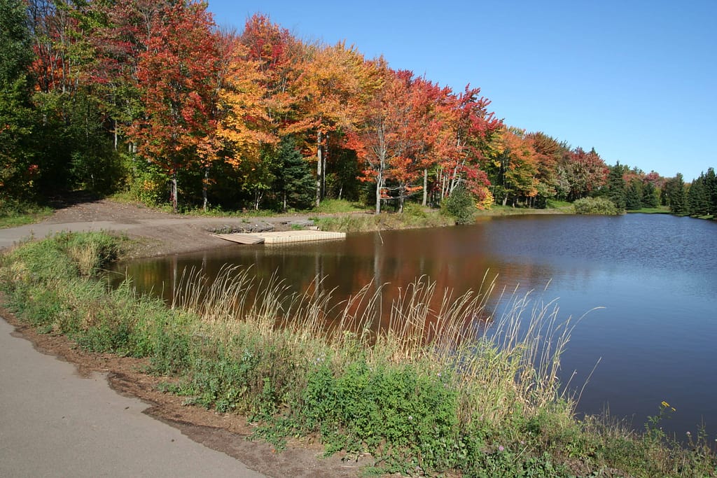 Centennial Park Greater Moncton