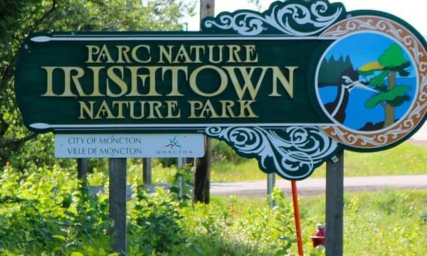 Irishtown nature park Moncton