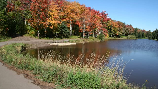 Centennial Park Greater Moncton