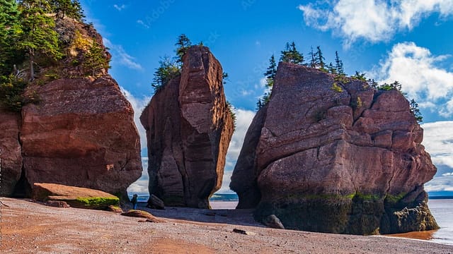 Hopewell Rocks Provincial Park