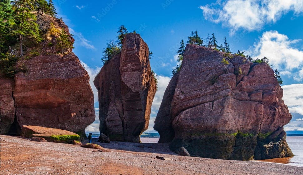 Hopewell Rocks Provincial Park