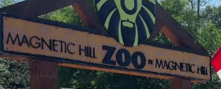 Family Adventure: Magnetic Hill Zoo Creature Quest